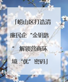 崂山区打造清廉民企“金钥匙” 解锁营商环境“优”密码