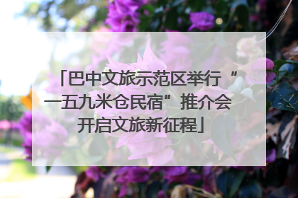 巴中文旅示范区举行“一五九米仓民宿”推介会 开启文旅新征程