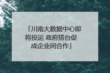 川南大数据中心即将投运 政府搭台促成企业间合作