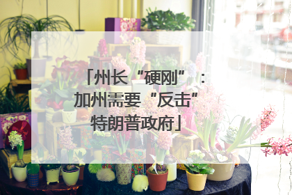 州长“硬刚”：加州需要“反击”特朗普政府