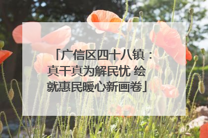 广信区四十八镇：真干真为解民忧 绘就惠民暖心新画卷
