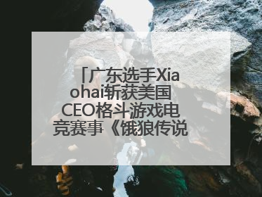 广东选手Xiaohai斩获美国CEO格斗游戏电竞赛事《饿狼传说》项目冠军