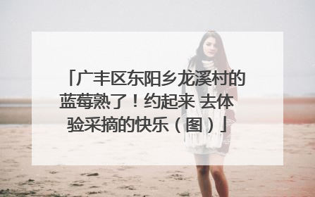 广丰区东阳乡龙溪村的蓝莓熟了！约起来 去体验采摘的快乐（图）