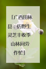 广西田林县：仿野生灵芝丰收季 山林间劳作忙