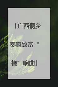 广西侗乡奏响致富“椒”响曲