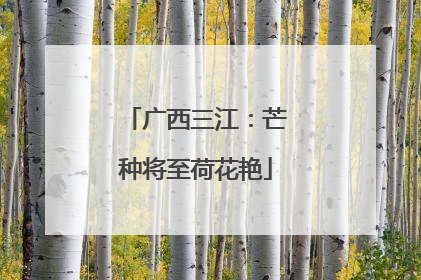 广西三江：芒种将至荷花艳