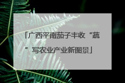 广西平南茄子丰收“蔬”写农业产业新图景