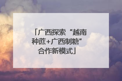 广西探索“越南种蔗+广西制糖”合作新模式