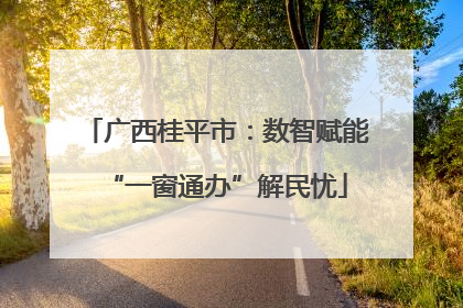 广西桂平市：数智赋能“一窗通办”解民忧