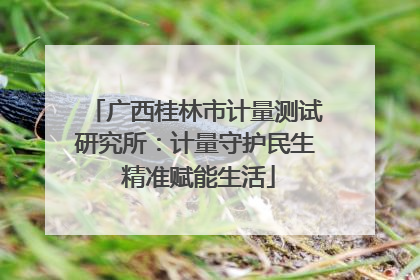 广西桂林市计量测试研究所：计量守护民生 精准赋能生活