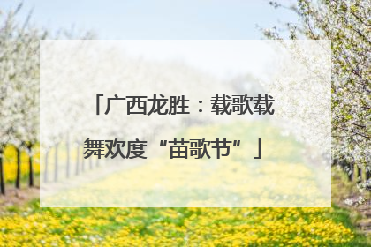 广西龙胜：载歌载舞欢度“苗歌节”