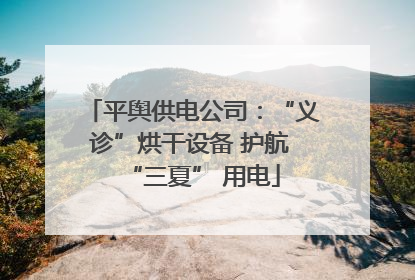 平舆供电公司：“义诊”烘干设备 护航 “三夏” 用电