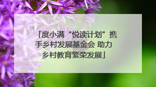 度小满“悦读计划”携手乡村发展基金会 助力乡村教育繁荣发展