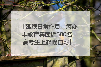 延续日常作息，海亦丰教育集团近600名高考生上起晚自习