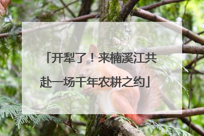 开犁了！来楠溪江共赴一场千年农耕之约