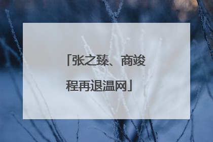 张之臻、商竣程再退温网