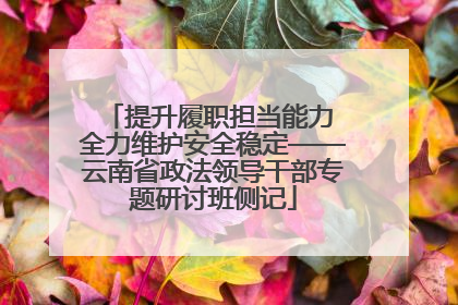 提升履职担当能力 全力维护安全稳定——云南省政法领导干部专题研讨班侧记