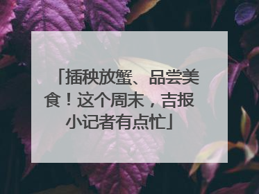 插秧放蟹、品尝美食！这个周末，吉报小记者有点忙