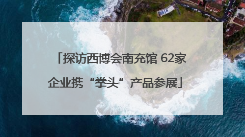 探访西博会南充馆 62家企业携“拳头”产品参展