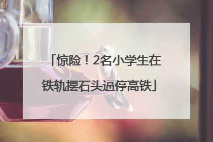 惊险！2名小学生在铁轨摆石头逼停高铁
