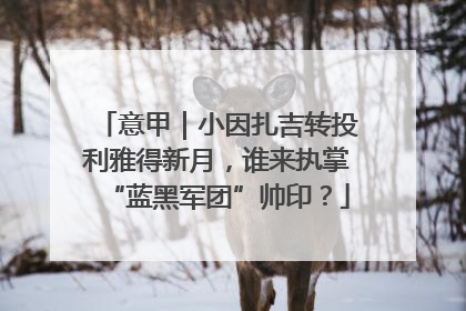 意甲｜小因扎吉转投利雅得新月，谁来执掌“蓝黑军团”帅印？