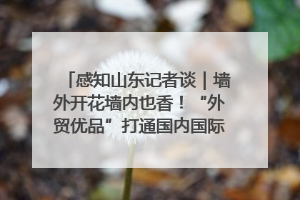 感知山东记者谈｜墙外开花墙内也香！“外贸优品”打通国内国际市场“旋转门”
