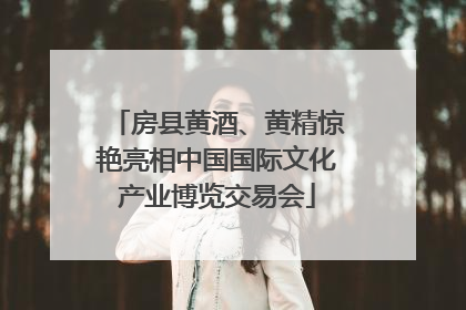 房县黄酒、黄精惊艳亮相中国国际文化产业博览交易会