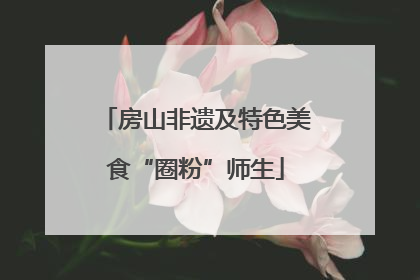 房山非遗及特色美食“圈粉”师生