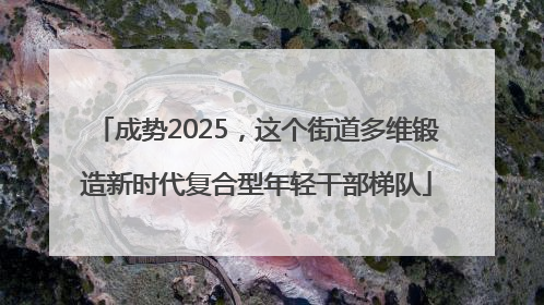 成势2025，这个街道多维锻造新时代复合型年轻干部梯队