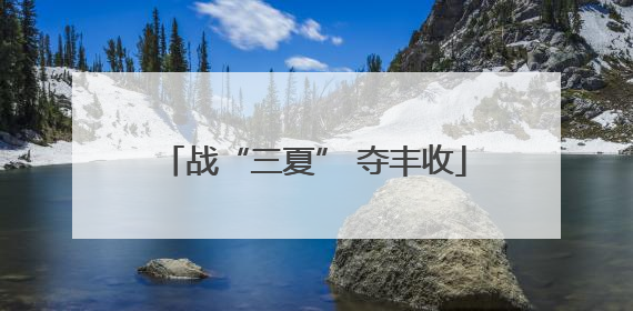 战“三夏” 夺丰收