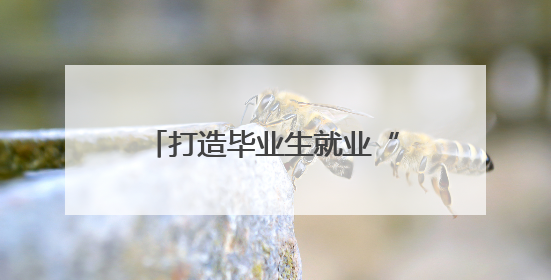 打造毕业生就业“样板” 2025年河南省高校毕业生就业工作宣传月启动