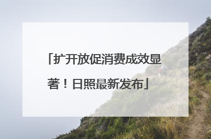 扩开放促消费成效显著！日照最新发布