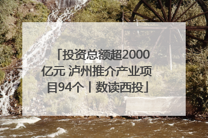 投资总额超2000亿元 泸州推介产业项目94个丨数读西投