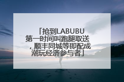 抢到LABUBU第一时间叫跑腿取送，顺丰同城等即配成潮玩经济参与者