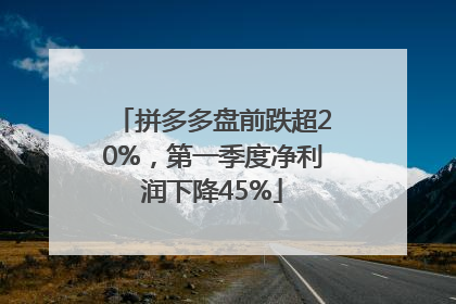 拼多多盘前跌超20%，第一季度净利润下降45%