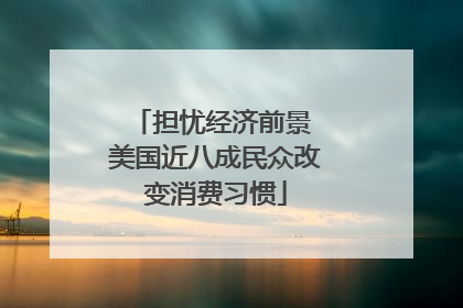 担忧经济前景 美国近八成民众改变消费习惯