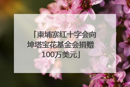 柬埔寨红十字会向坤塔宝花基金会捐赠100万美元