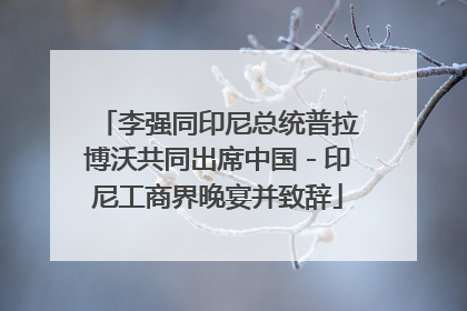 李强同印尼总统普拉博沃共同出席中国－印尼工商界晚宴并致辞