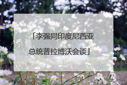 李强同印度尼西亚总统普拉博沃会谈