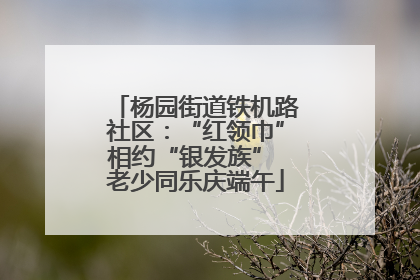 杨园街道铁机路社区：“红领巾”相约“银发族” 老少同乐庆端午