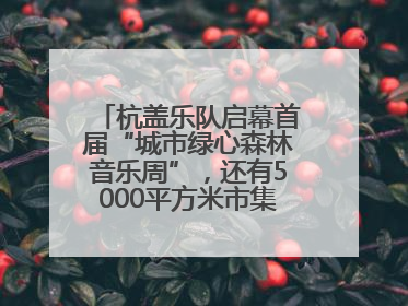 杭盖乐队启幕首届“城市绿心森林音乐周”，还有5000平方米市集、60余场免费活动等你来