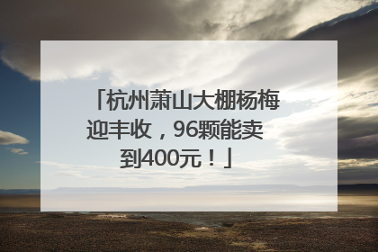 杭州萧山大棚杨梅迎丰收，96颗能卖到400元！