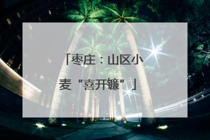 枣庄：山区小麦“喜开镰”