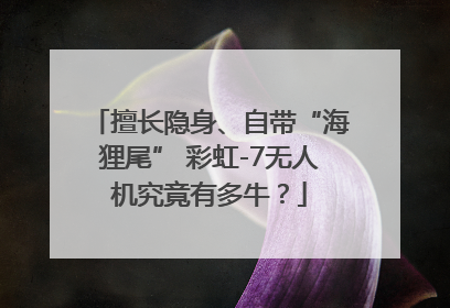 擅长隐身、自带“海狸尾” 彩虹-7无人机究竟有多牛？