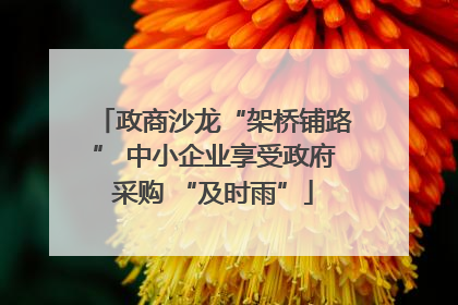 政商沙龙“架桥铺路” 中小企业享受政府采购 “及时雨”