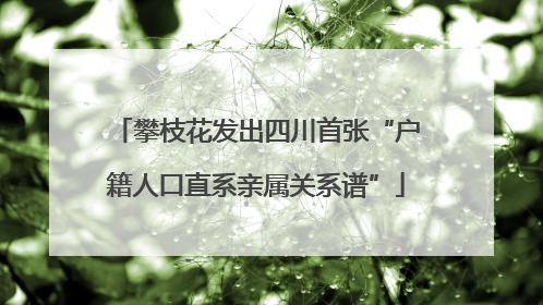 攀枝花发出四川首张“户籍人口直系亲属关系谱”