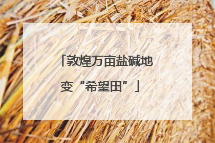 敦煌万亩盐碱地变“希望田”