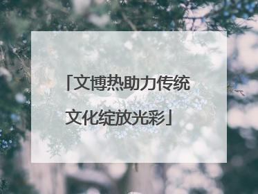 文博热助力传统文化绽放光彩