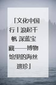 文化中国行丨浪起千帆 深蓝宝藏——博物馆里的海丝遗珍