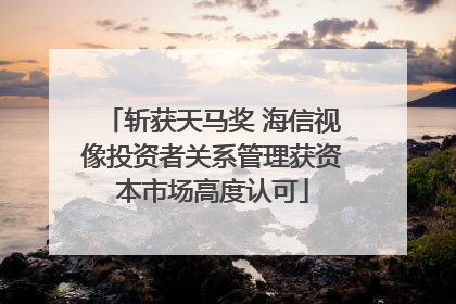 斩获天马奖 海信视像投资者关系管理获资本市场高度认可